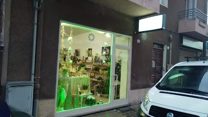 Fiori e Piante Ever Green, Fiorista a Oristano