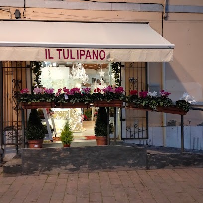 Il Tulipano, Fiorista a Campiglia Marittima