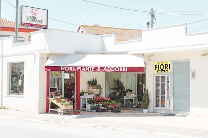 Magic Flowers, Fiorista a Francavilla al Mare
