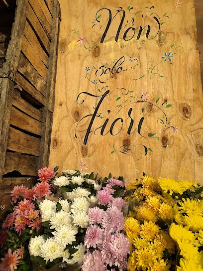 Il Chiosco di Non Solo Fiori, Fiorista a Nonantola