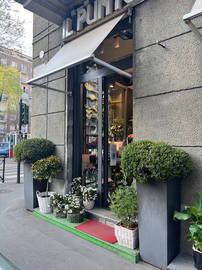 Il Punto Del Fiore, Fiorista a Torino