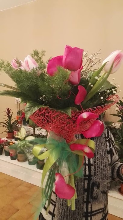 Vicolo In Fiore - Green Store - Villapiana, Fiorista a Villapiana