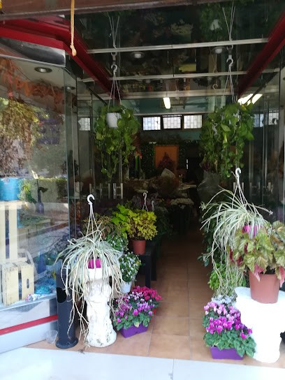 Il Giardino Dell'Eden, Fiorista a Pomezia