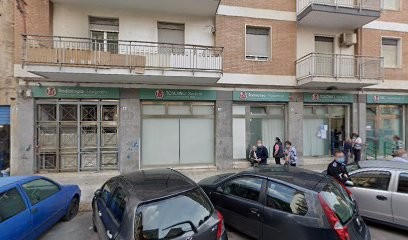 Fantasia Fiorita S.A.S. Di Lucchese Francesco E C., Fiorista a Palermo