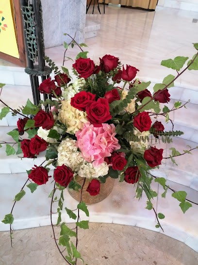 ORCHIDEA Di Fasano Rita, Fiorista a Surbo