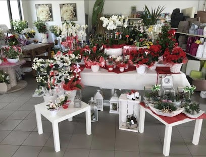 MarcoFiori -Piante E Complementi D'arredo-, Fiorista a Sarcedo