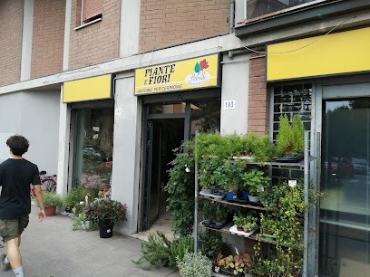 Petrilli Maria Grazia / Piante E Fiori, Fiorista a Modena