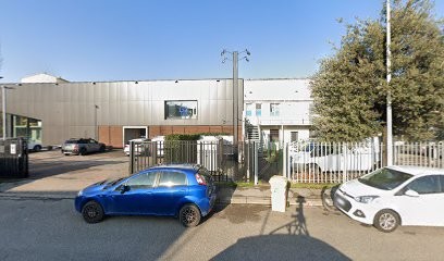 Brizzi Elisabetta, Fiorista a Firenze