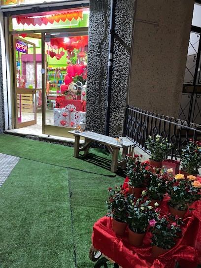 L''Eden Di Garfield Di Romeo C., Fiorista a Messina