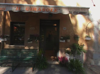 Il Girasole Di Caroscioli Agostina, Fiorista a Vasanello