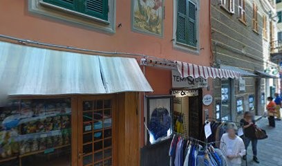 Verde Matto Di Ferrero Matteo, Fiorista a Varazze