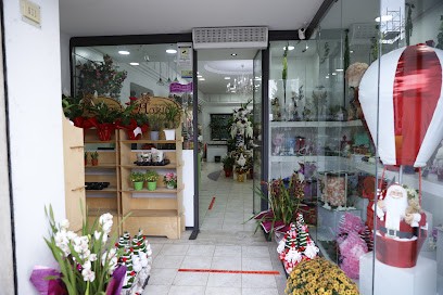 Horios Antica Fioreria, Fiorista a Roma