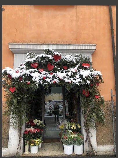 Il Mercato dei Fiori di Rita Aldini, Fiorista a Cesena