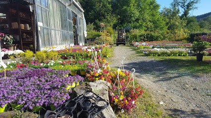 Floricoltura Rezoagli Gianluigi, Fiorista a Comabbio