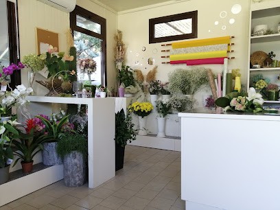 Art & Flowers S.a.S, Fiorista a Reggio nell'Emilia