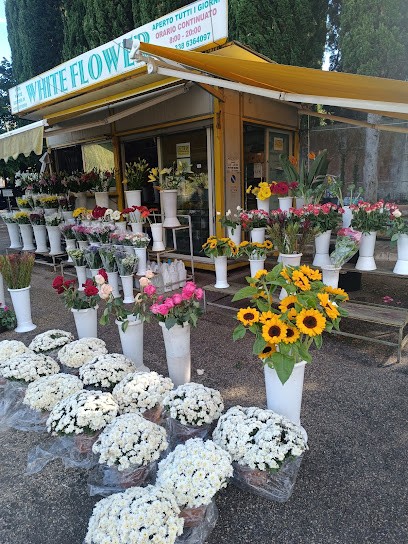 White Flower Pescara, Fiorista a Pescara