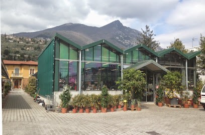 Azienda Agricola Chimini Nicola, Fiorista a Toscolano-Maderno