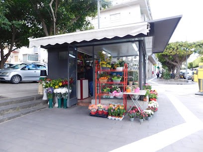 Fiori E Piante - Di Pietro Giuseppe, Fiorista a Messina