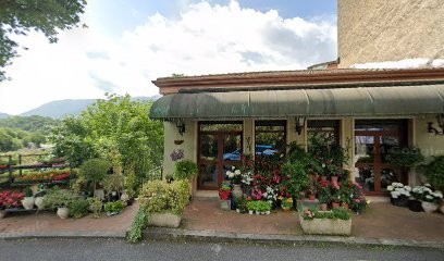 Maxpolitalia Di Francesca Sacchettino, Fiorista a Casalvieri