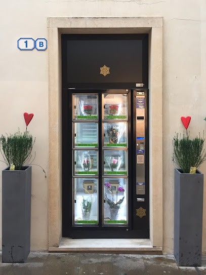 Fioreria San Fermo, Fiorista a Padova