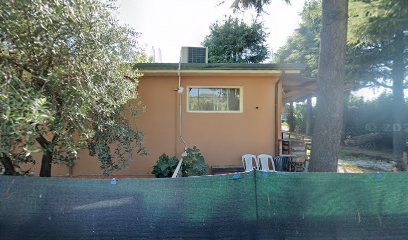 Tongiani Vincenzo, Fiorista a Massa