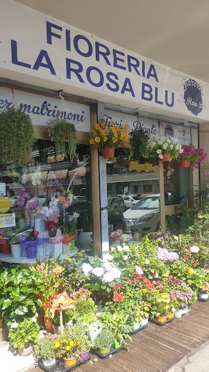 Fioreria La Rosa Blu Di Alexandra Apetre, Fiorista a Roma