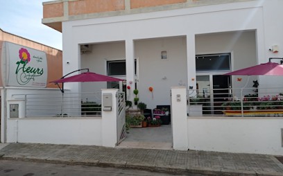 Fleurs Di Ardito, Fiorista a Gagliano del Capo