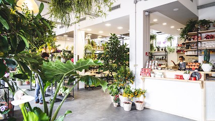 Signorelli Flowers & Coffee, Fiorista a Cusano Milanino