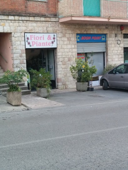 Borghi Roberta, Fiorista a Perugia