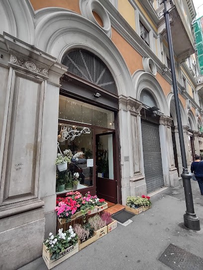 Il Giardino Di Sara, Fiorista a Trieste