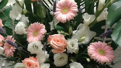 Fiori E Piante Di Nistri Lorenzo, Fiorista a Firenze