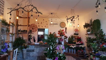 Anthos Fiori, Fiorista a Corsano