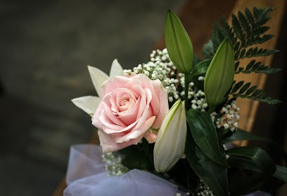 Wind Rose, Fiorista a Lovero