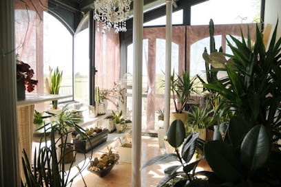 In Fiore Di Mattioli Giovanna, Fiorista a Ravenna