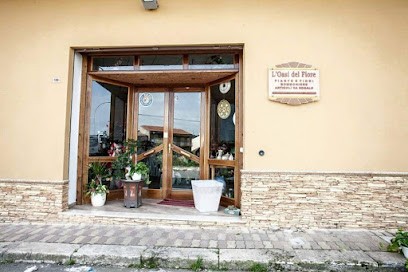 Agenzia Onoranze Funebri L'Oasi Del Fiore, Fiorista a Grotte