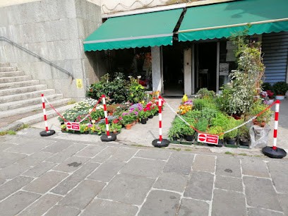 Flowers Symphony Di Minniti Maria Teresa, Fiorista a Genova