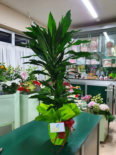 Casa Del Fiore, Fiorista a Mola di Bari