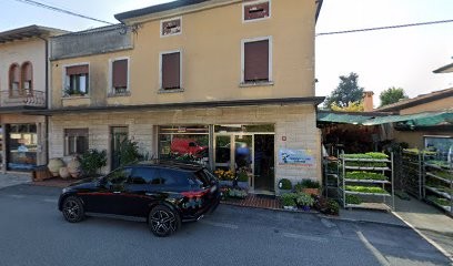 Il Pollice Verde-sas Di Frison Gilberto &co., Fiorista a Carmignano di Brenta