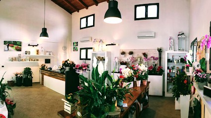 Pasini Flowers and more, Fiorista a Cesena