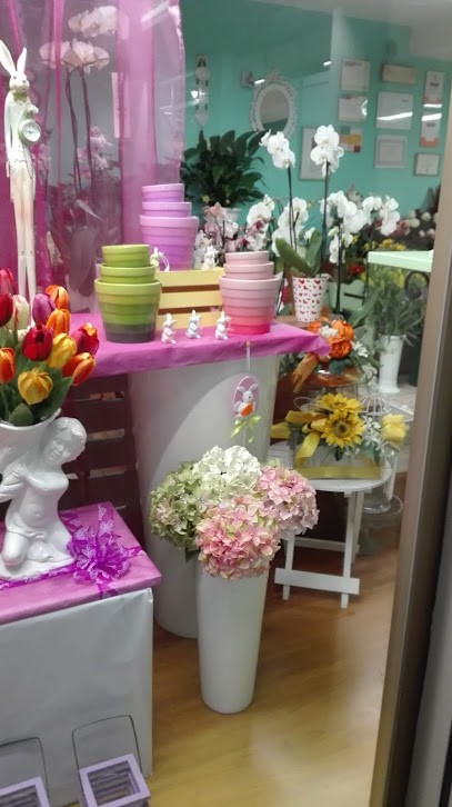 L'Orchidea, Fiorista a San Clemente