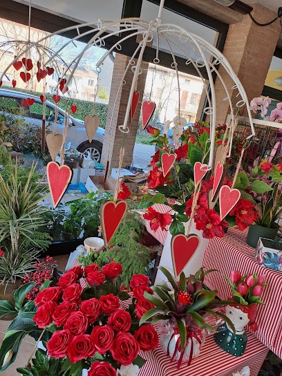 Morelli Marisa Di Rinaldini Alessandra, Fiorista a Quattro Castella