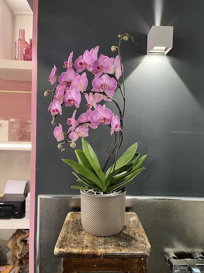 POLLINE Flower Shop, Fiorista a Ciriè