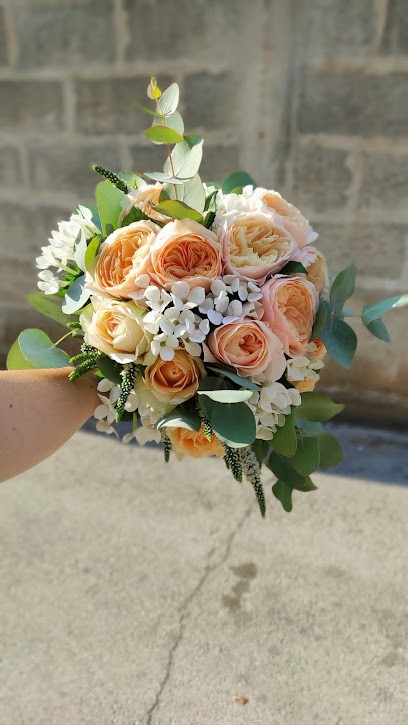Il Piccolo Giardino, Fiorista a Conversano