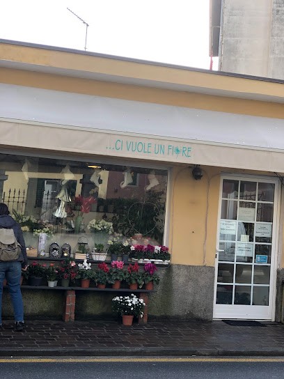 Ci Vuole Un Fiore Di Rossi Giuliana, Fiorista a Celle Ligure