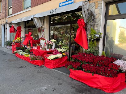 Fiori di Elle, Fiorista a Castelfranco Emilia