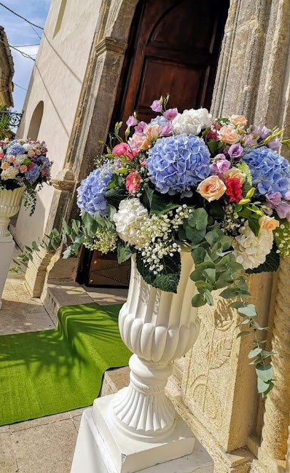 Salatino Maria Carmela Idea Fiori, Fiorista a Paludi