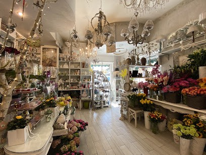 Piante E Fiori Adriana, Fiorista a Nettuno