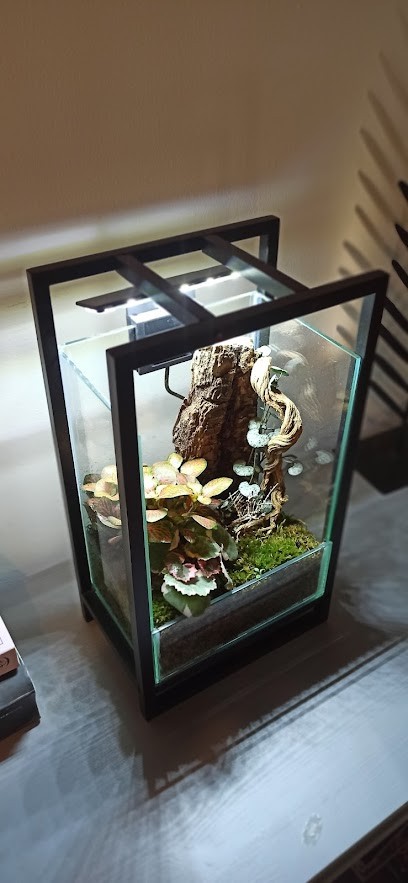 Amazzonia, Fiorista a Roma