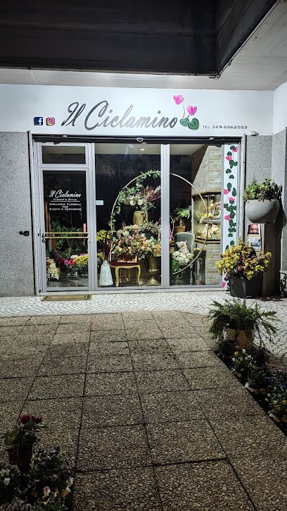 Il Ciclamino Fiuggi, Fiorista a Fiuggi