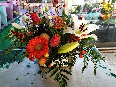 Lineafiore Di Santosuosso Marco, Fiorista a Roma